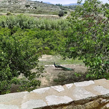 Villa Themis Kato Sangrion